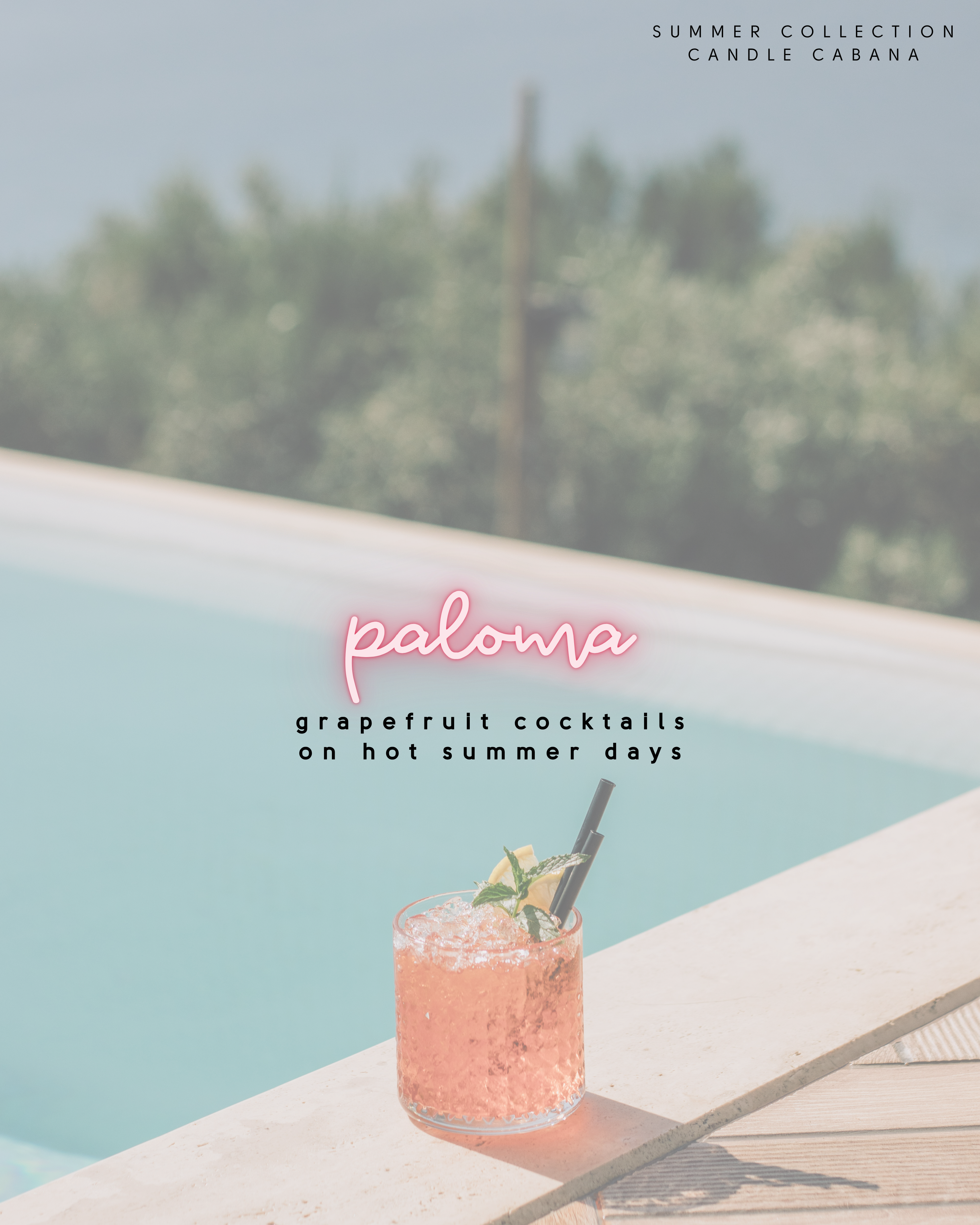 PALOMA