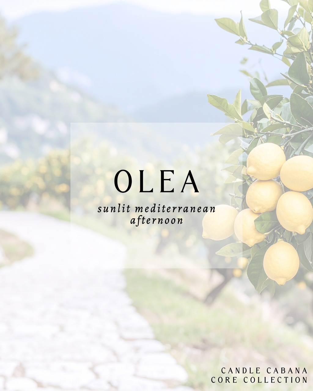 OLEA